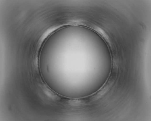 X0000113911336200910081842