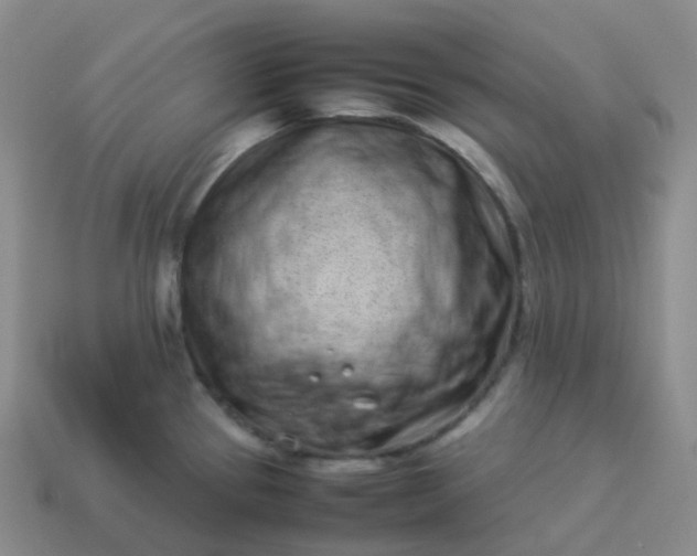 X0000113911337200910081842