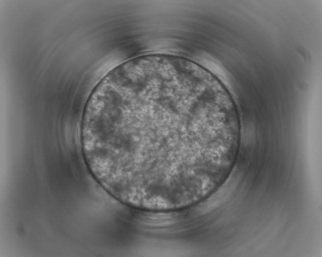 X0000113911338200910081842