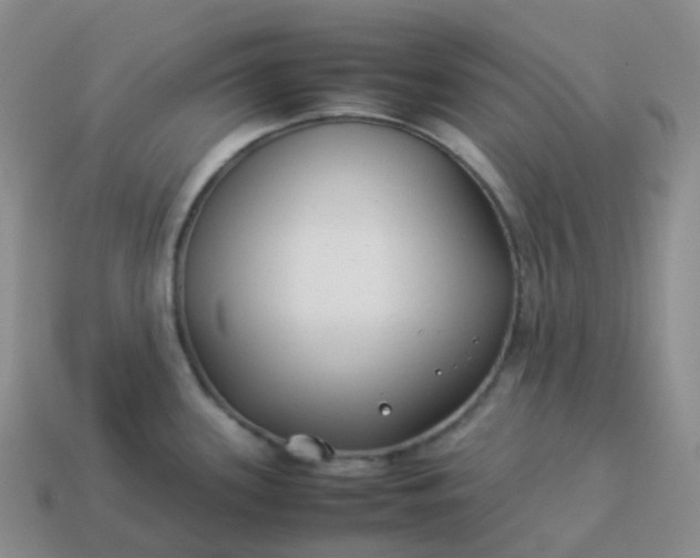 X0000113911339200910081842