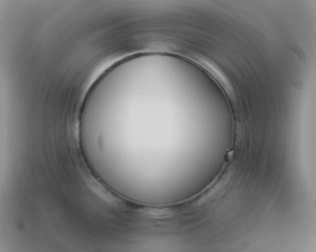 X0000113911340200910081842