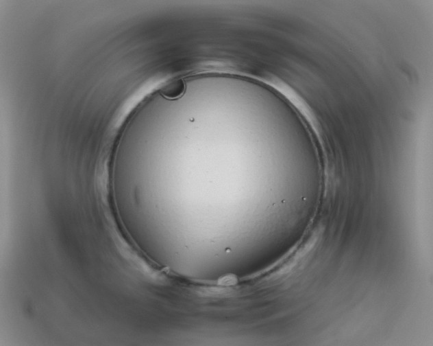 X0000113911341200910081842