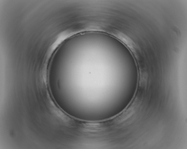 X0000113911342200910081842