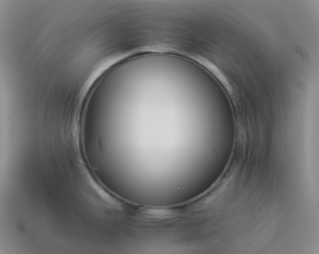 X0000113911343200910081842