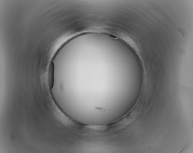 X0000113911344200910081842