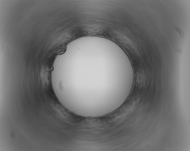 X0000113911346200910081841