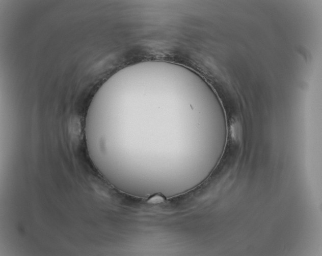 X0000113911347200910081841