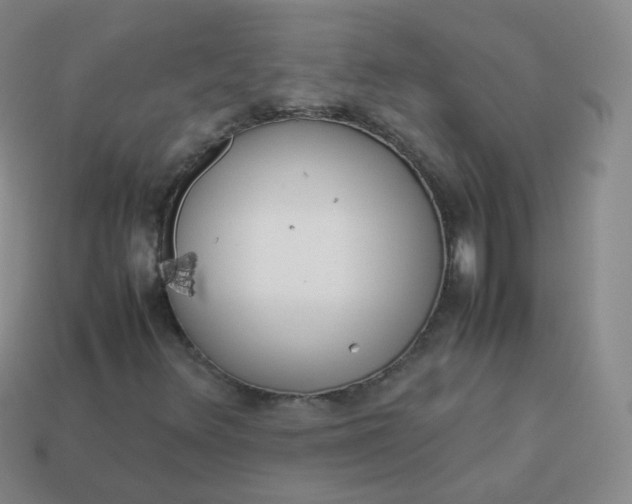 X0000113911348200910081841