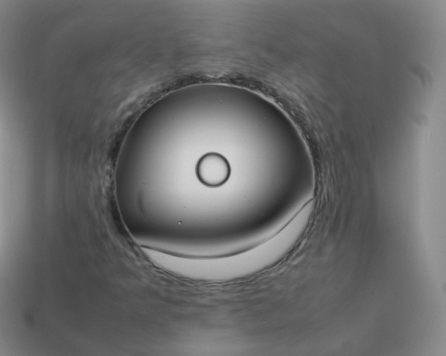 X0000113911349200910081841