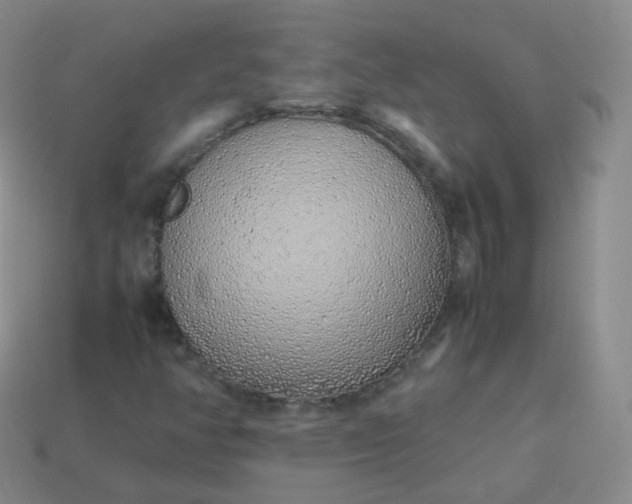 X0000113911350200910081841