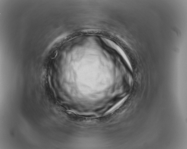 X0000113911351200910081841