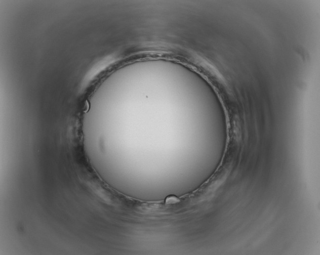 X0000113911352200910081841