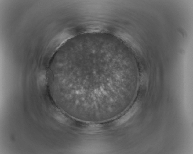 X0000113911353200910081841