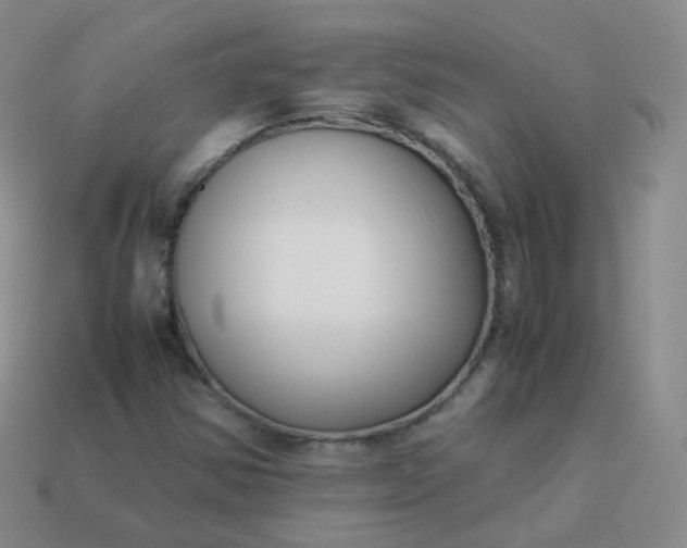 X0000113911354200910081841