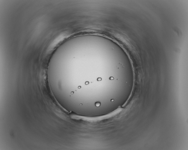 X0000113911355200910081841