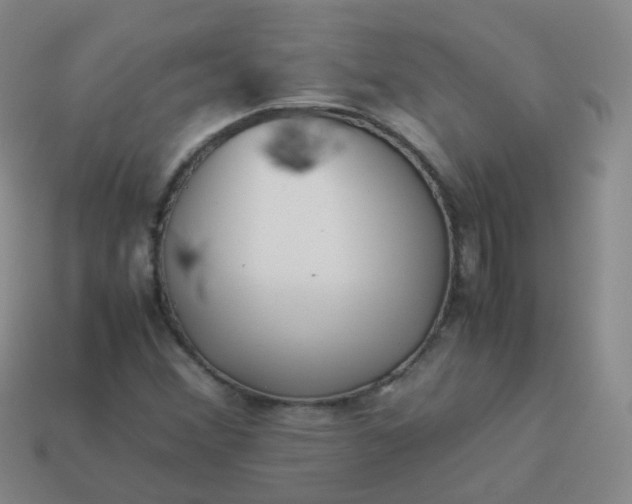 X0000113911356200910081841