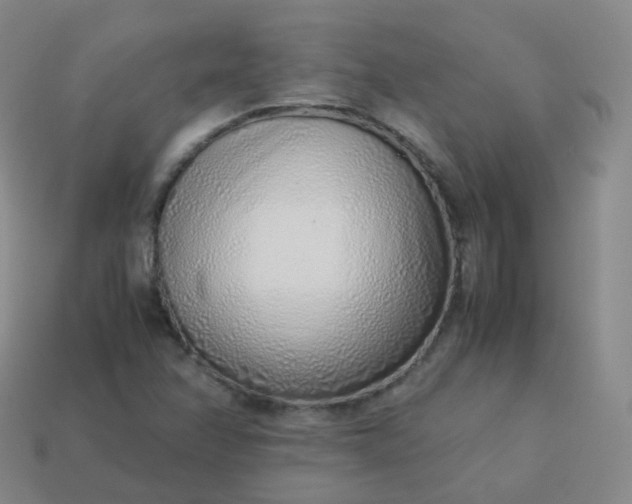 X0000113911358200910081841