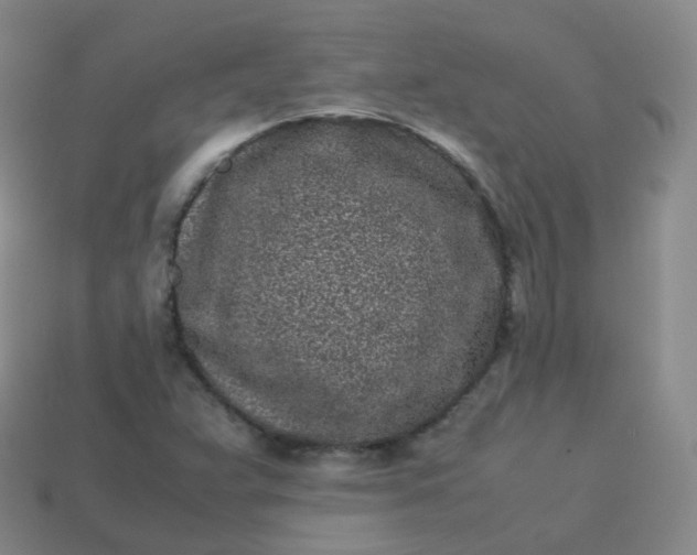 X0000113911359200910081841