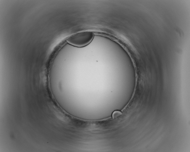 X0000113911360200910081841