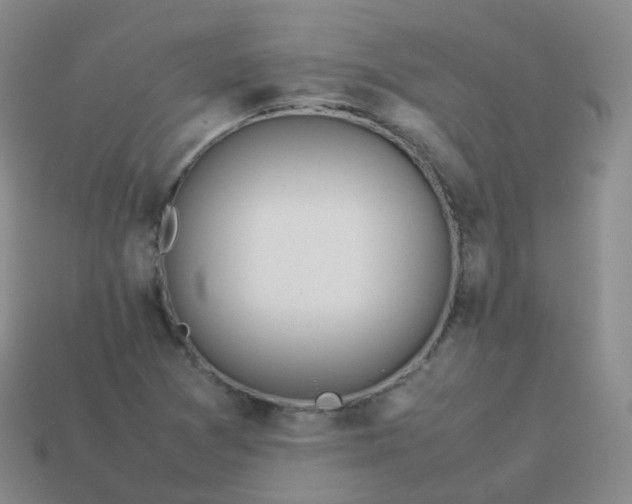 X0000113911361200910081841