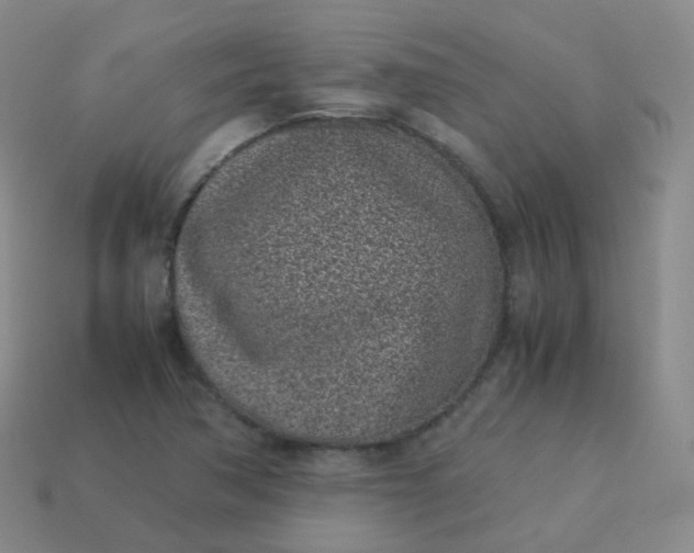 X0000113911362200910081841