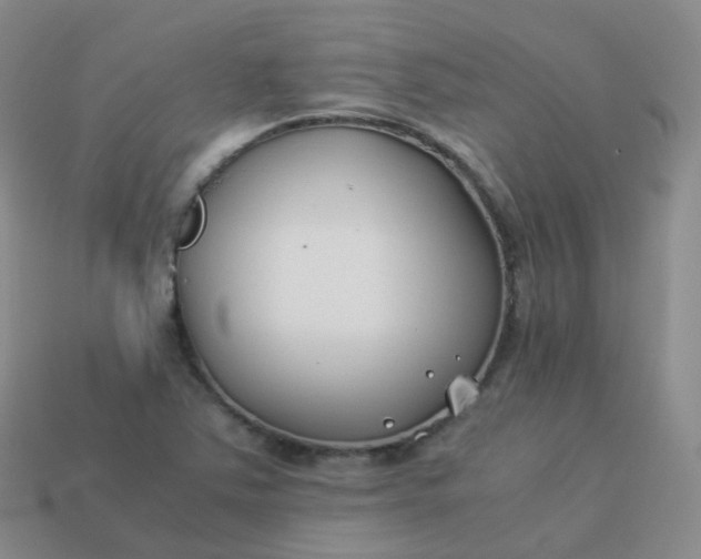 X0000113911363200910081841