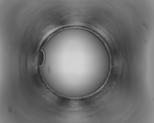 X0000113911364200910081841