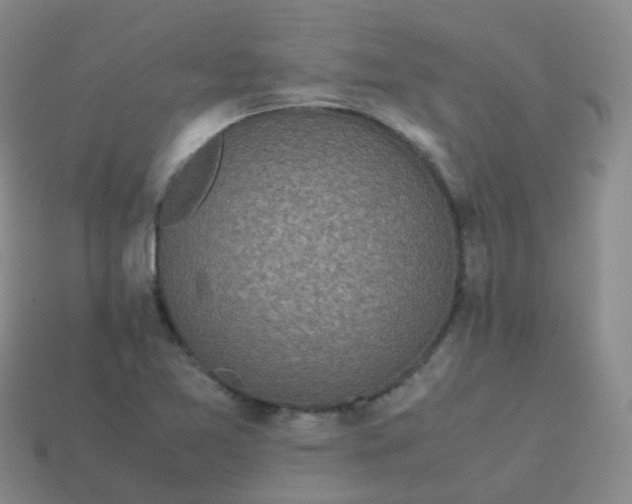 X0000113911365200910081841