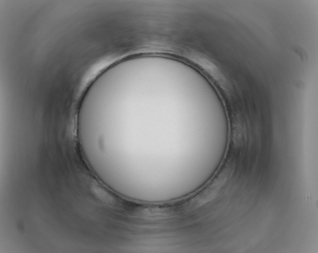 X0000113911366200910081841