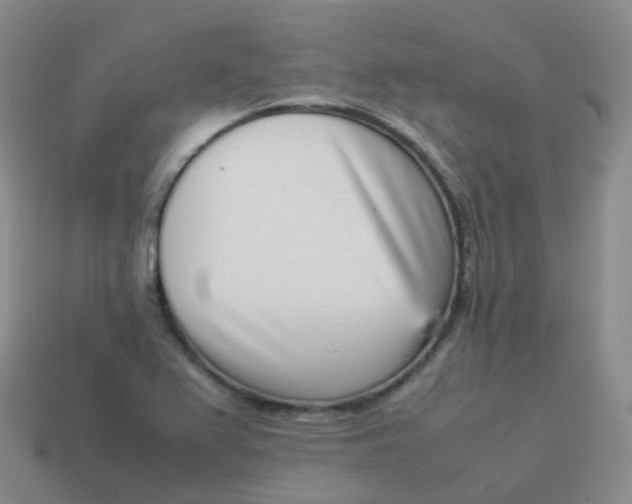 X0000113911367200910081841