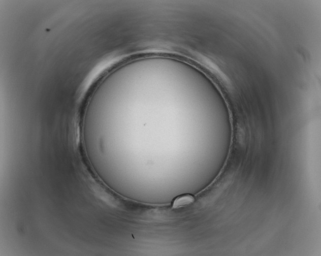 X0000113911368200910081841