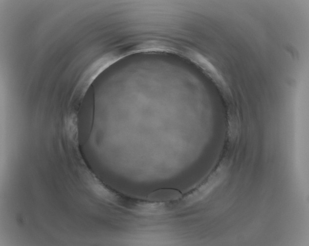 X0000113911369200910081841