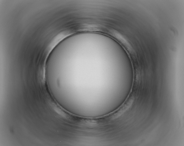 X0000113911370200910081841