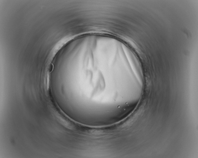 X0000113911371200910081841