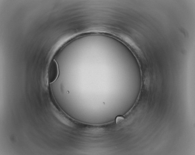 X0000113911372200910081841