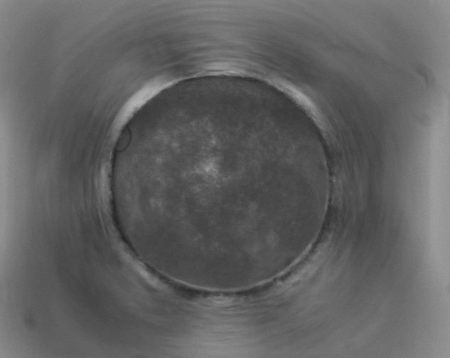 X0000113911373200910081841