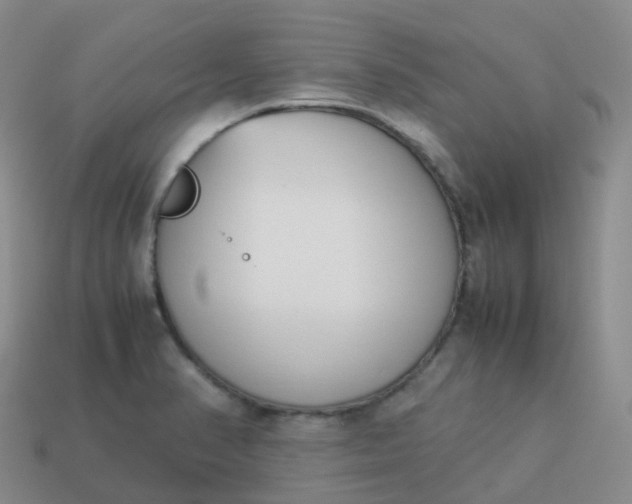 X0000113911374200910081841