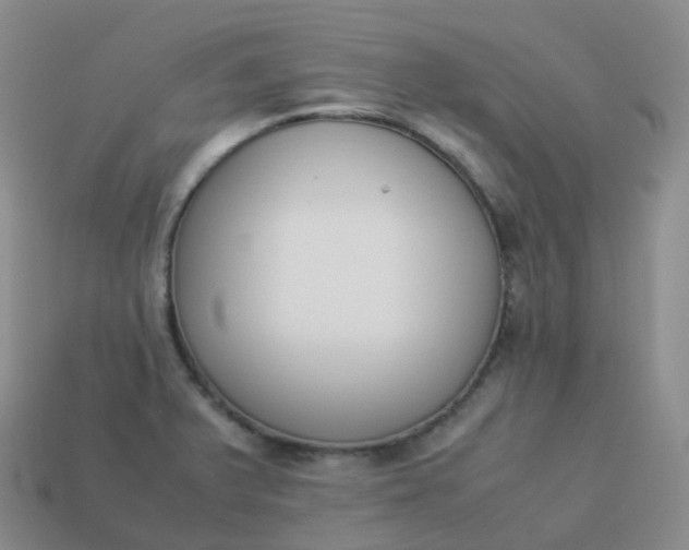 X0000113911375200910081841