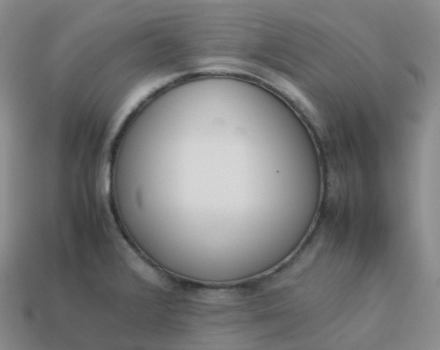 X0000113911376200910081841