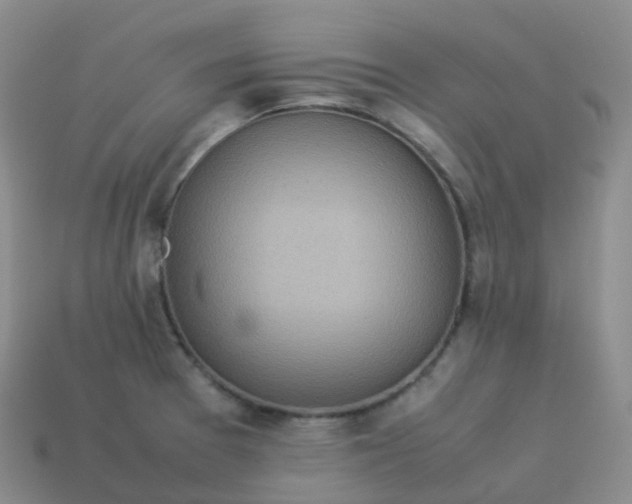 X0000113911377200910081841