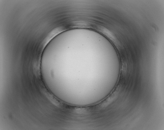 X0000113911378200910081841