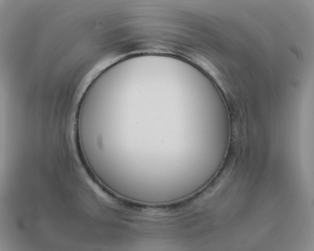 X0000113911379200910081841