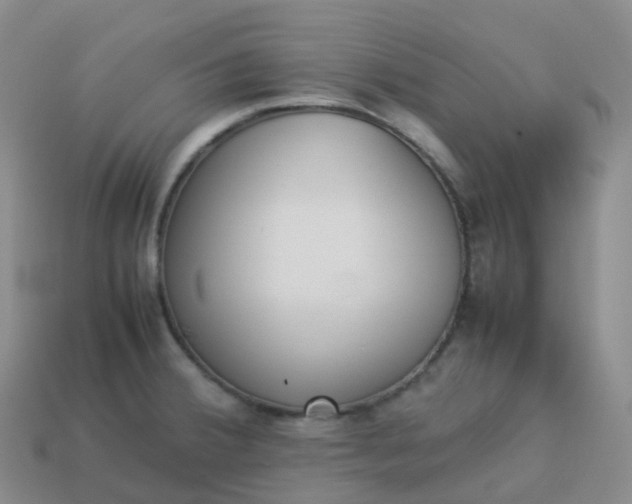 X0000113911380200910081841