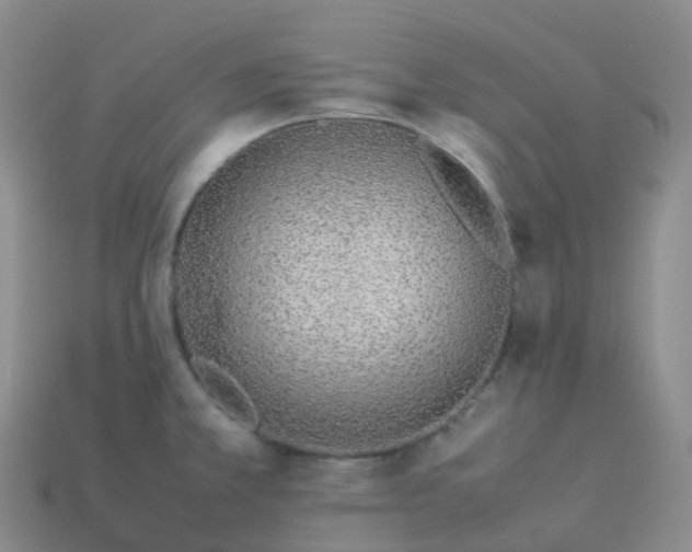 X0000113911381200910081841