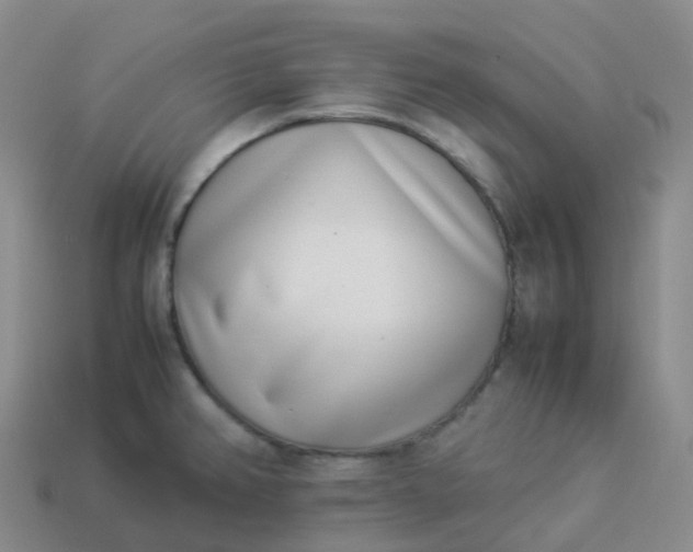 X0000113911382200910081841