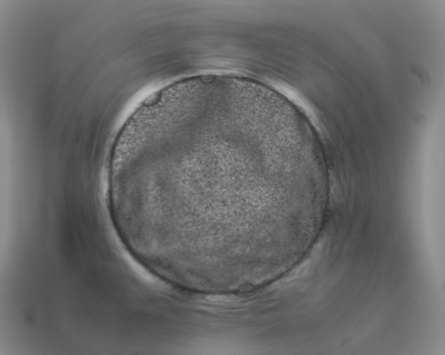 X0000113911383200910081841