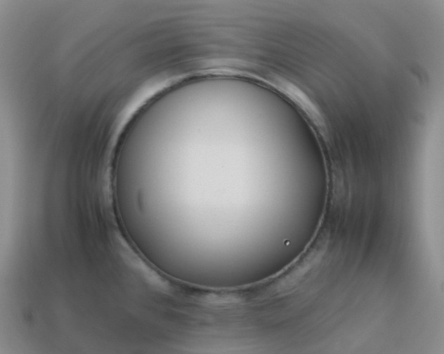 X0000113911384200910081841