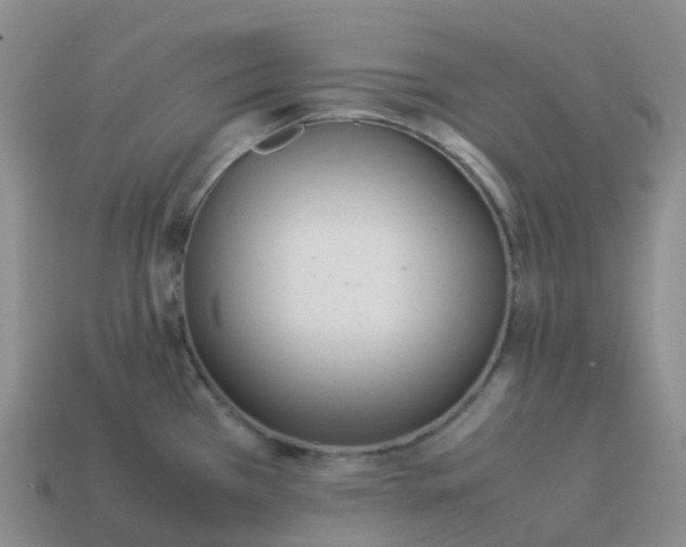 X0000113911385200910081841