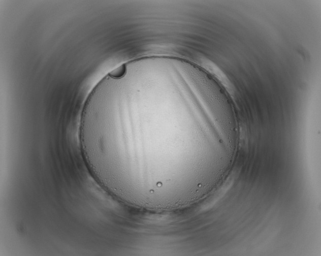 X0000113911386200910081841