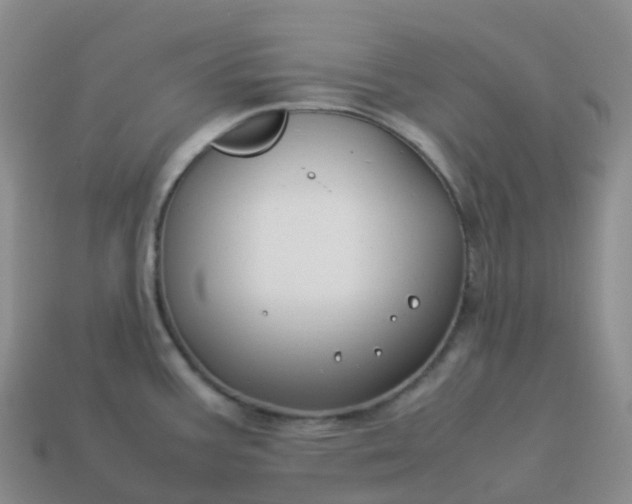 X0000113911387200910081841